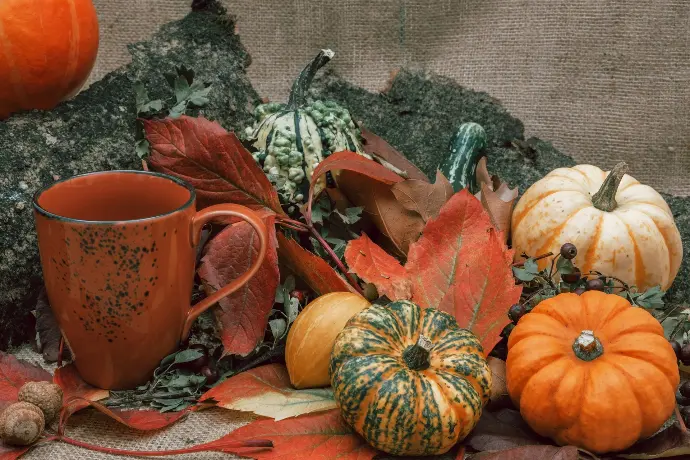 a table topped with lots of different types of pumpkins